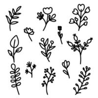 colección de elementos botánicos para el diseño de postales, invitaciones, creación de logos o pancartas. flores vectoriales en blanco y negro, bayas, ramitas y hojas para el diseño. estilo de garabato simple y plano. vector