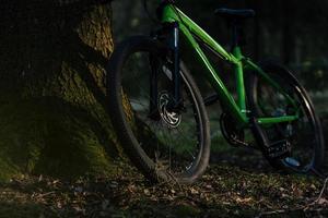 Mountain bike near the tree photo