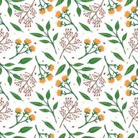 Herbal seamless pattern on white background. Abstract texture decoration with leaf, flowers and sprigs of berries. Vintage Spring floral art for print.Summer garden texture. vector