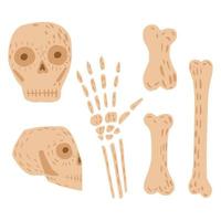 Set from skulls and bones on white background. Simple kit color pink skeleton sketch hand drawn in style doodle. vector