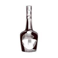 Hand drawn cognac bottle. Bottle of brandy sketch isolated on white background. vector