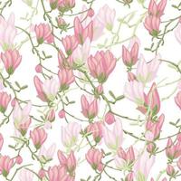 Seamless pattern Magnolias on white background. Beautiful texture with spring flowers. vector