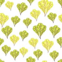 Seamless pattern bunch mangold salad on whie background. Simple ornament with lettuce. vector