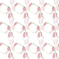 Seamless pattern Magnolias on white background. Beautiful ornament with flowers. vector