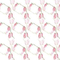 Seamless pattern Magnolias on white background. Beautiful ornament with flowers. vector