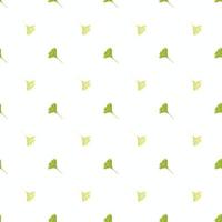 Ginkgo biloba seamless pattern. Beautiful plant background. vector