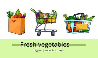 Organic food in bag and basket. Cartoon style. vector