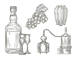 Set of Pisco. Peru of traditional alcohol drink. Bottle, glass, alembic, grape, jug. Vintage engraved style vector