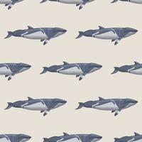 Seamless pattern lesser rorqual on beige background. Template of cartoon character of ocean for fabric. vector