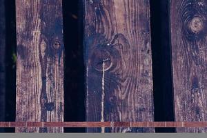 Wooden background. texture photo