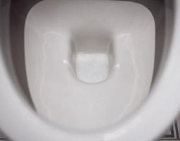 White toilet bowl with detergent photo