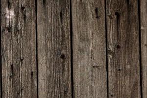 wood texture background photo