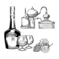 Set of cognac in hand drawn style on white background. Bottle of cognac, snifter, bunch of grapes, alembic. vector