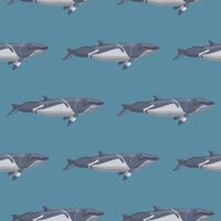 Seamless pattern lesser rorqual on blue background. Template of cartoon character of ocean for fabric. vector