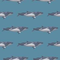 Seamless pattern lesser rorqual on blue background. Template of cartoon character of ocean for fabric. vector