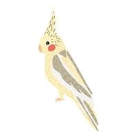 loro corella aislado sobre fondo blanco. lindo personaje tropical pájaro color amarillo. vector