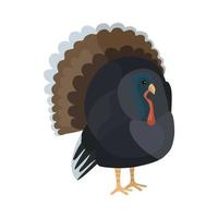 Cute Turkey isolated on white background. Funny cartoon character farm brown color. vector