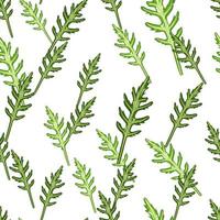 Seamless pattern bunch arugula salad on white background. Simple ornament with lettuce. vector