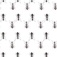 Seamless pattern colony ants on white background. Vector insects template in flat style for any purpose. Modern animals texture.