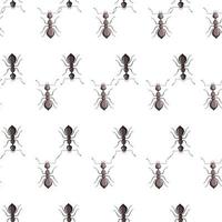 hormigas de colonia de patrones sin fisuras sobre fondo blanco. plantilla de insectos vectoriales en estilo plano para cualquier propósito. textura de animales modernos. vector