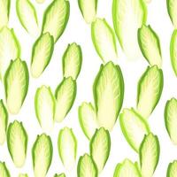 Seamless pattern Chicory cabbage on white background. Simple ornament with lettuce. vector