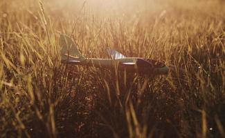 Toy plane on the grass photo