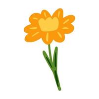 Yellow flower isolated on white background. Beautiful hand drawn botanical sketch for any purpose. vector