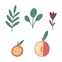 conjunto de manzanas, ramitas y flores sobre fondo blanco. boceto botánico escandinavo dibujado a mano en estilo garabato. vector