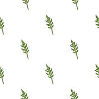 Seamless pattern bunch arugula salad on white background. Simple ornament with lettuce. vector