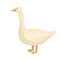 Cute goose isolated on white background. Funny cartoon character farm white color. vector