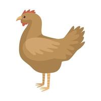 Cute hen isolated on white background. Funny cartoon character farm brown color. vector
