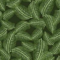 Random seamless pattern with fern leaf silhouettes exotic print. Tropical nature greenery backdrop. vector