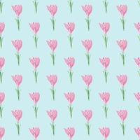 Pink outline crocus flower silhouettes seamless botanic nature pattern. Light background. Summer print. vector