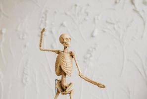 decorative skeleton figure photo