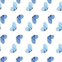 Butterfly pattern seamless in freehand style. Cute insect which fly in a meadow on colorful background. Vector illustration for textile.