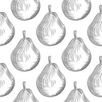 Hand drawn pears seamless pattern on white background. vector