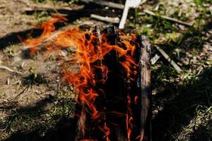 Burning firewood. fire photo