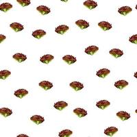 Seamless pattern lola rosa salad on white background. minimalism ornament with lettuce vector