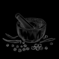 Mortar and pestle concept on blackboard. Pepper set. Grinding spices and food ingredients. vector