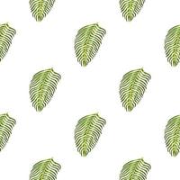 Isolated seamless botany pattern with tropical fern leaves print. White background. Exotic foliage ornament. vector