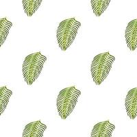 Isolated seamless botany pattern with tropical fern leaves print. White background. Exotic foliage ornament. vector