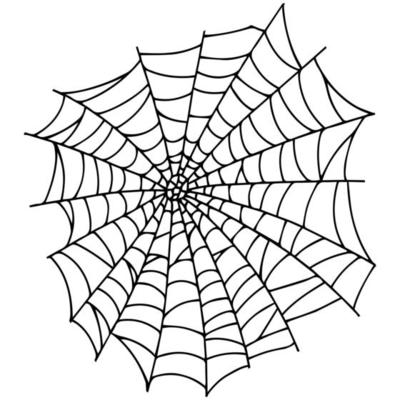 Spider web isolated on white background. Spooky cobwebs. Outline vector illustration.
