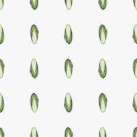 Seamless pattern Chicory cabbage on white background. Minimalism ornament with lettuce. vector