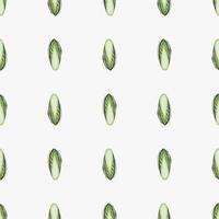 Seamless pattern Chicory cabbage on white background. Minimalism ornament with lettuce. vector