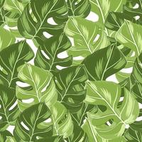 Scrapbook seamless pattern with random doodle green monstera leaf silhouettes. White background. Simple style. vector