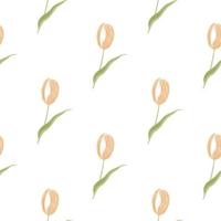 Isolated seamless pattern with pink colored tulip flowers ornament. White background. Floral backdrop. vector