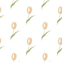 Isolated seamless pattern with pink colored tulip flowers ornament. White background. Floral backdrop. vector