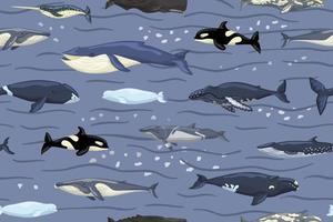 ballenas de patrones sin fisuras en azul con olas y fondo de manchas. impresión de personajes de dibujos animados del océano en estilo escandinavo para niños. vector