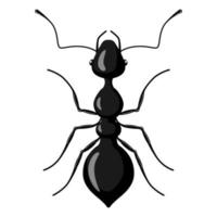 hormiga negra aislada sobre fondo blanco. personaje de insecto vectorial en estilo plano para la ilustración de libros. vector