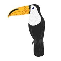 Toucan sits isolated on white background. Cute character from tropic. Exotic bird life in jungle. vector